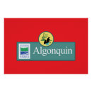 Search for algonquin posters Nature