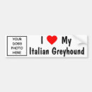 Search for italian bumper stickers Greyhound