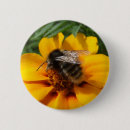 Search for bee image buttons Flower