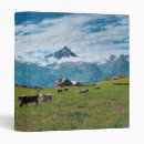 Search for cow binders Ranch