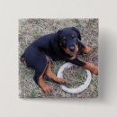 Recherche de rottweiler badges Dog