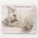 Search for ragdoll electronics Cute