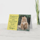 Search for cat pet sympathy cards Rainbow bridge