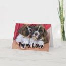 Search for puppy valentines day cards Puppies