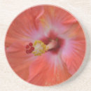 Search for botany barware Plants