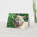 Search for kitty cards Hugs