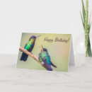 Search for nature lover birthday cards Hummingbird