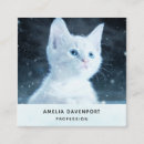 Recherche de chatons cartes visite Félin