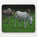 Search for mule mousepads Nature