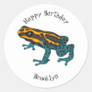 Search for dart frog stickers Poison arrow frog