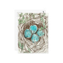 Recherche de nids cartes postales Nid d'oiseaux