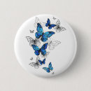 Recherche de papillons bleus badges Blanc