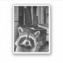 Recherche de funny raccoon stickers Raton laveur