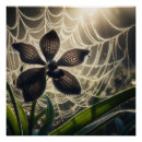 Search for spiderweb posters Halloween