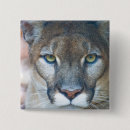 Search for cougar buttons Zoo