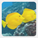 Search for reef stickers Outdoors