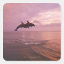 Search for jumping dolphin stickers Animal
