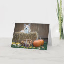 Search for dog halloween cards Pumpkin