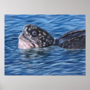 Recherche de sea turtle posters Coastal