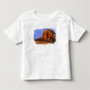 Search for sedona arizona tshirts America