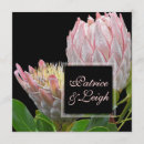 Search for king proteas invitations Tropical