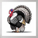 Search for wild turkeys posters Thanksgiving