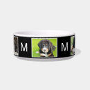 Search for initial pet supplies Create your own