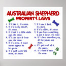 Search for australian shepherd posters Cute