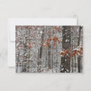 Recherche de arbres neige couverts vœux cartes Nature