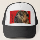 Recherche de cane corso casquettes Chien