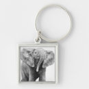 Search for mammals keychains Baby