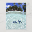 Recherche de lointain cartes postales Mer