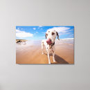 Search for dalmatian dog canvas prints Pets