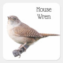 Search for wren stickers House
