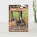 Search for crane bird cards Nature