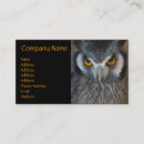 Recherche de hibou blanc cartes visite Mignon