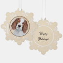 Search for irish setter ornaments Red