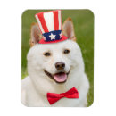 Search for happy fourth magnets 4th of july
