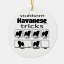 Search for havanese dog ornaments Dogs