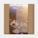 Search for bare magnets Photography