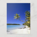 Recherche de îles cook cartes postales Océan