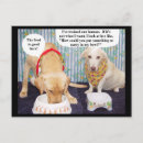 Search for pet food postcards Dog