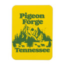 Recherche de pigeon magnete Tennessee
