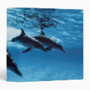 Search for danita delimont binders Colour image