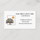 Recherche de arbre racines cartes visite Pelouse