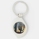 Search for saguaros keychains Sunset