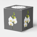 Recherche de orchidée ballotins Orchidées blanches
