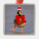 Search for funny duck ornaments Bird