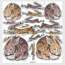 Search for rabbit drawing stickers Brown