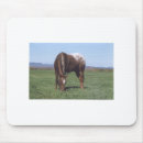 Search for grazing mousepads Equestrian